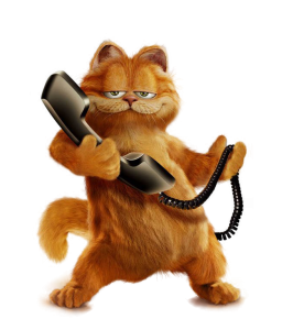 Cat with phone