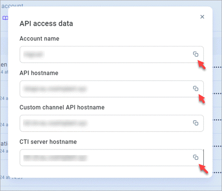 Copy API access data Copy API access data