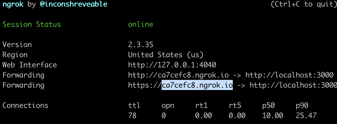Ngrok usage Ngrok usage