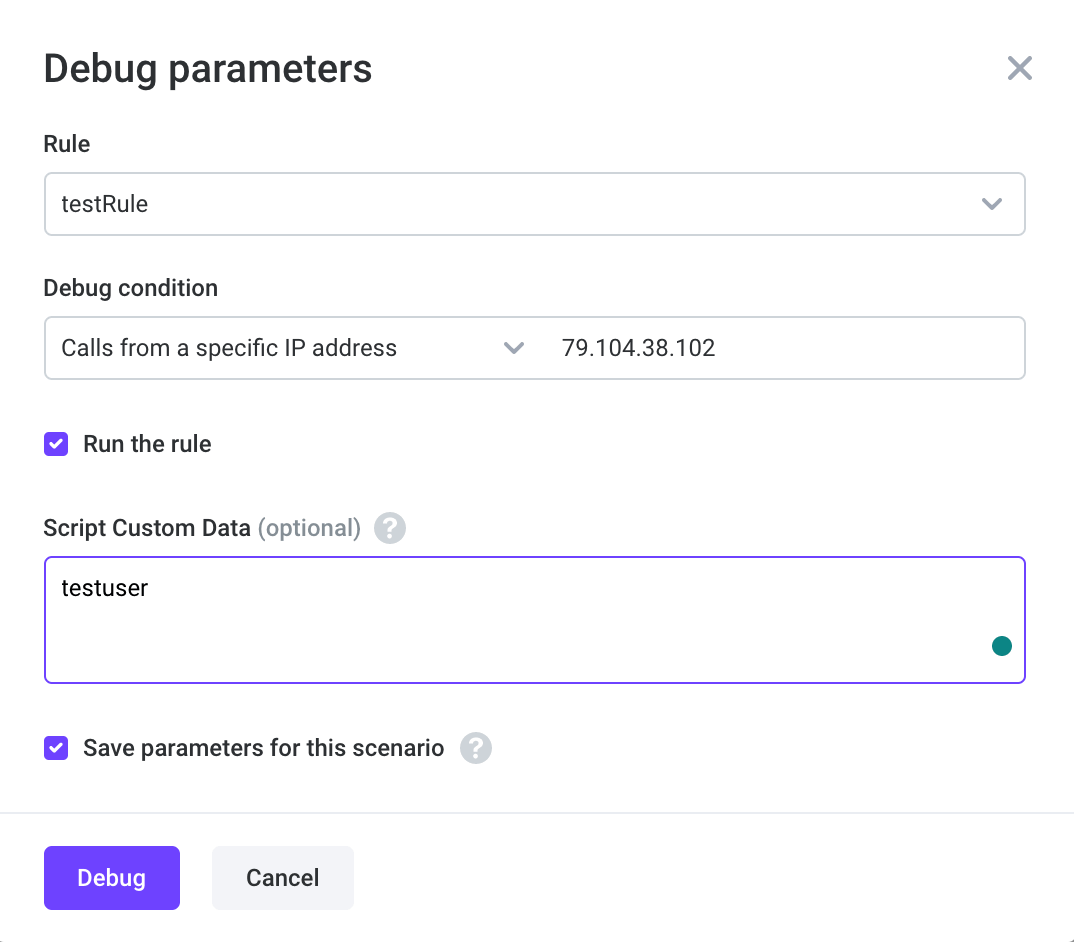 Debug parameters Debug parameters